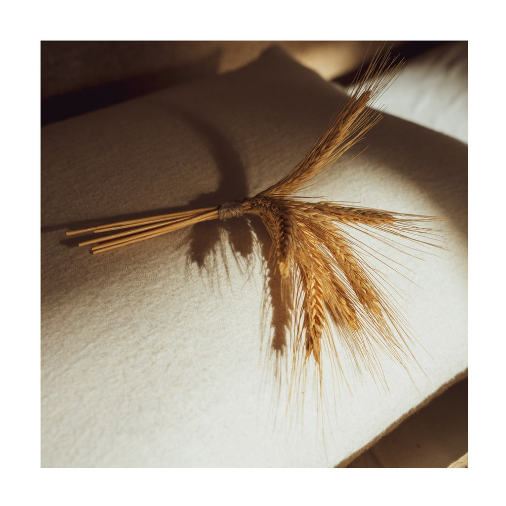 Oreiller bio en balle de millet de Les Cardalinnes, atelier artisanal de Saint-Chamas en Provence